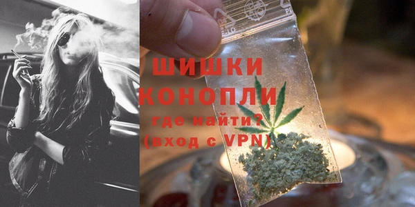ГАЛЛЮЦИНОГЕННЫЕ ГРИБЫ Дмитров