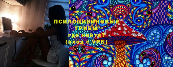 ГАЛЛЮЦИНОГЕННЫЕ ГРИБЫ Дмитров