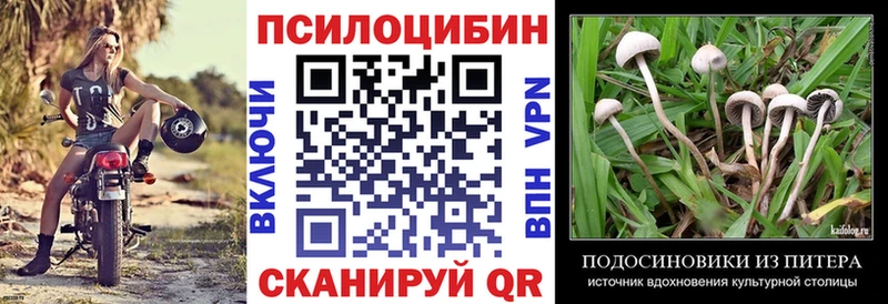 как найти закладки  Жиздра  Галлюциногенные грибы ЛСД 